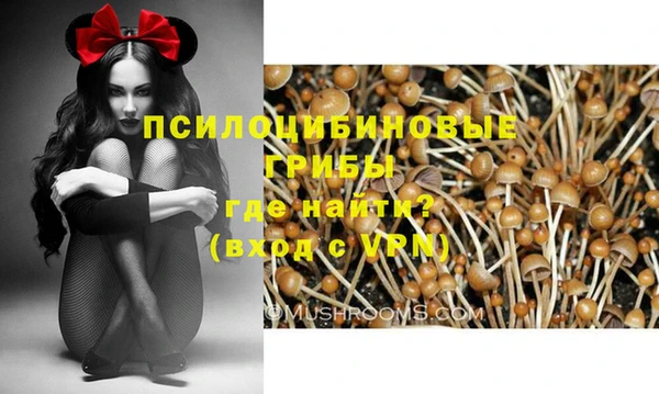 соль ск Михайловка