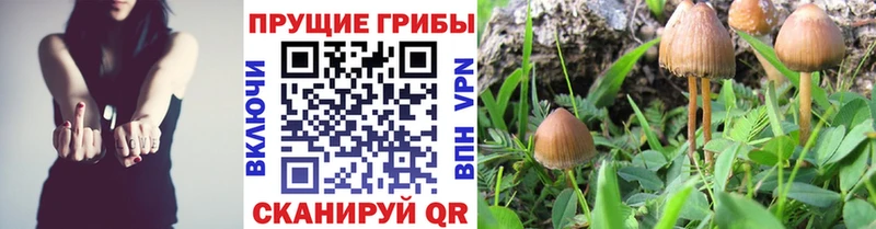Псилоцибиновые грибы мухоморы  Купить закладки  Петровск 